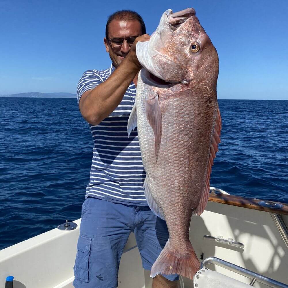 Fishing Trip from Sotogrande to Gibraltar